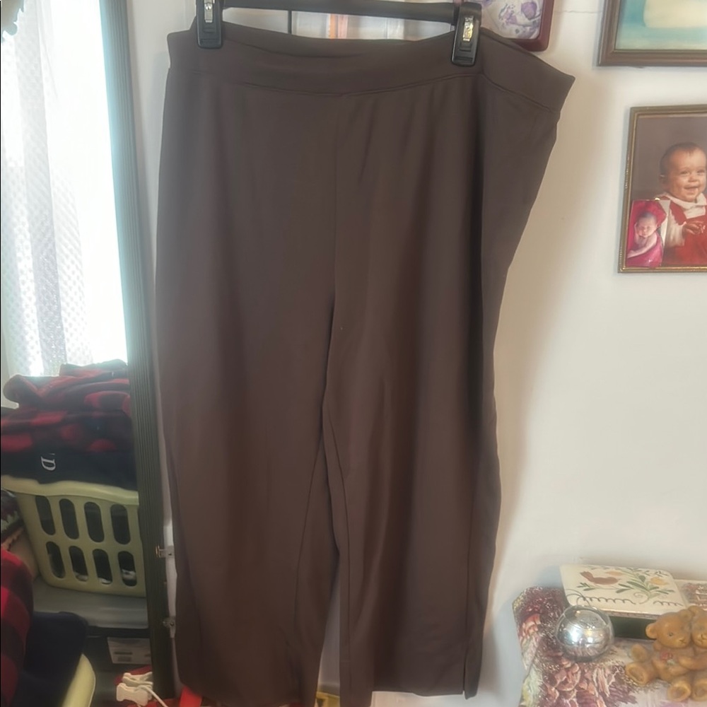 Avenue Chocolate Brown Capri Pants